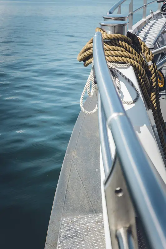 Hinckley.Boats Premium Domain